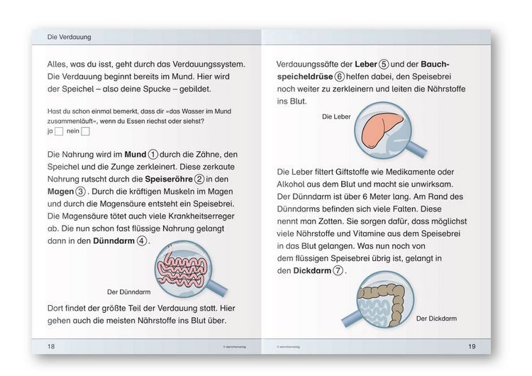Produktbild: Ich kenne meinen K&ouml;rper - Ern&auml;hrung und Verdauung