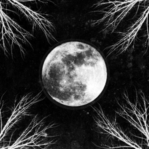 Produktbild: Pale Moon (LP)