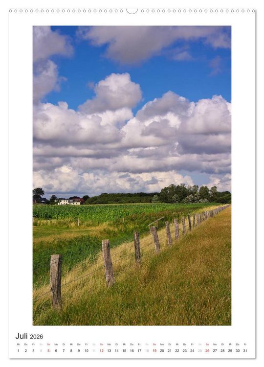 Produktbild: B&uuml;sum - Impressionen eines Sommers (hochwertiger Premium Wandkalender 2026 DIN A2 hoch), Kunstdruck in Hochglanz
