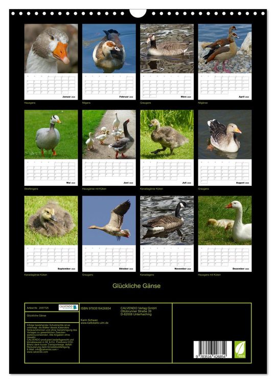 Produktbild: Gl&uuml;ckliche G&auml;nse (Wandkalender 2026 DIN A3 hoch), CALVENDO Monatskalender