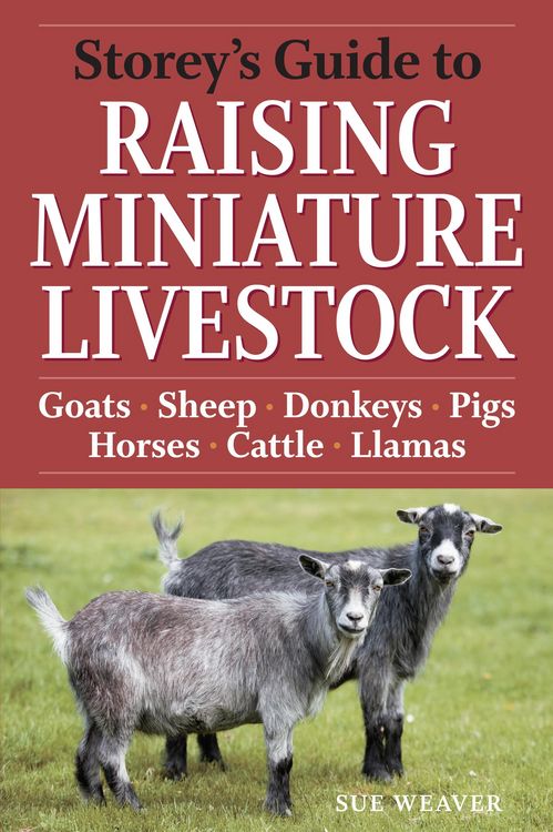 Produktbild: Storey's Guide to Raising Miniature Livestock