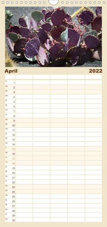 Produktbild: Familienplaner Faszination Kakteen (Wandkalender 2022 , 21 cm x 45 cm, hoch)