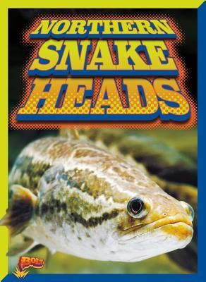 Produktbild: Northern Snake Heads