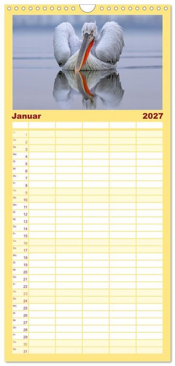 Produktbild: Familienplaner 2027 - Krauskopfpelikane mit 5 Spalten (Wandkalender, 21 x 45 cm) CALVENDO
