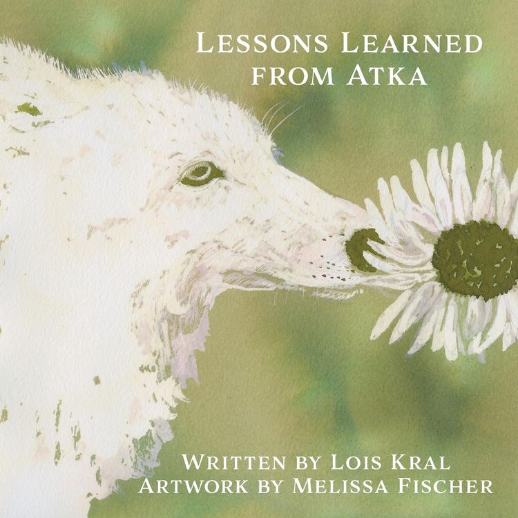 Produktbild: Lessons Learned from Atka