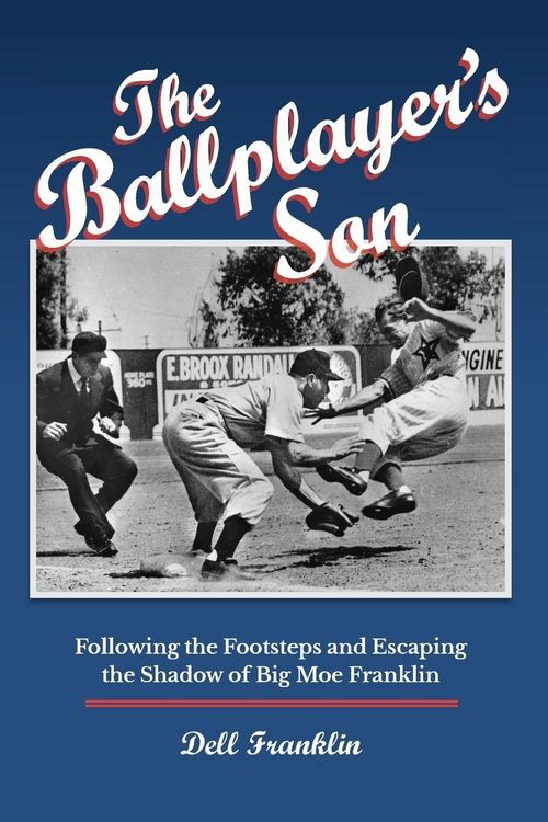 Produktbild: The Ballplayer's Son