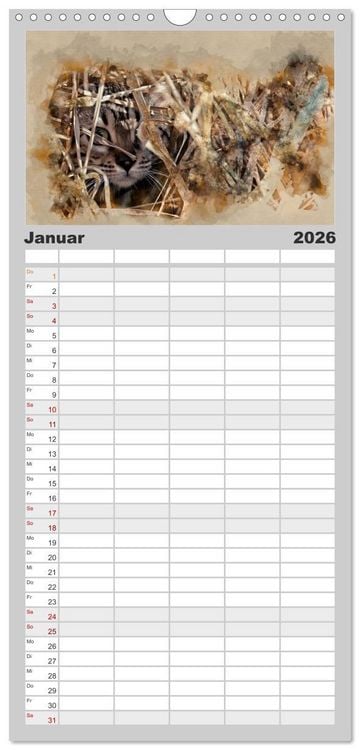 Produktbild: Familienplaner 2026 - Katzenkalender mausgemalt mit 5 Spalten (Wandkalender, 21 x 45 cm) CALVENDO