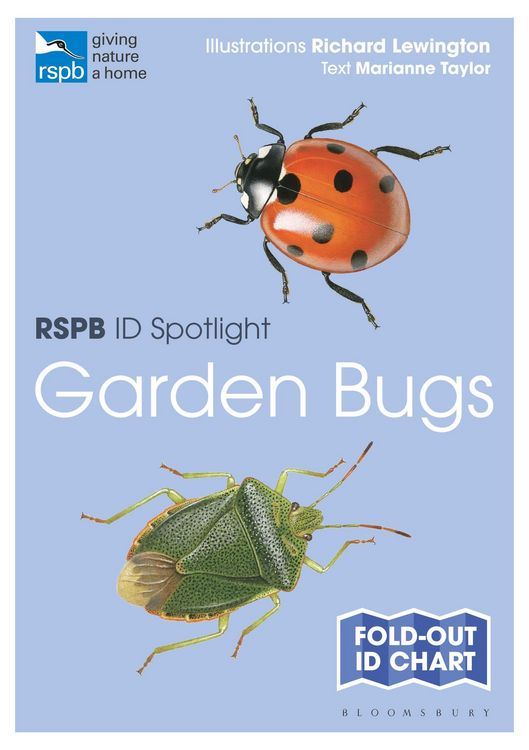 Produktbild: RSPB ID Spotlight - Garden Bugs