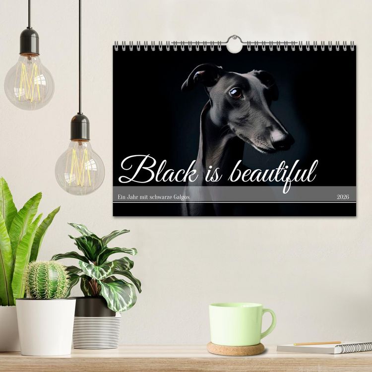 Produktbild: Black is beautiful (Wandkalender 2026 DIN A4 quer), CALVENDO Monatskalender