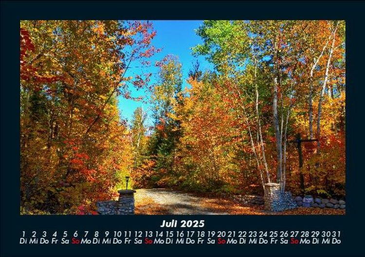 Produktbild: B&auml;ume 2025 Fotokalender DIN A5