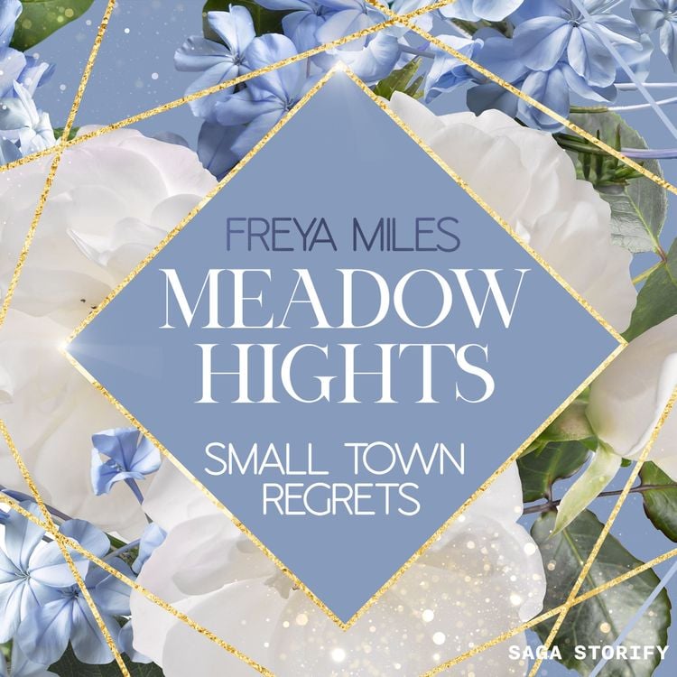 Bild vom Artikel Meadow Hights - Small Town Regrets vom Autor Freya Miles