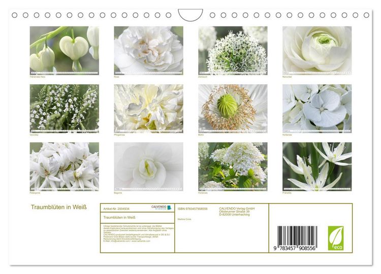 Produktbild: Traumbl&uuml;ten in Wei&szlig; (Wandkalender 2026 DIN A4 quer), CALVENDO Monatskalender
