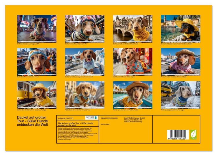 Produktbild: Dackel auf gro&szlig;er Tour - S&uuml;&szlig;e Hunde entdecken die Welt (hochwertiger Premium Wandkalender 2026 DIN A2 quer), Kunstdruck in Hochglanz