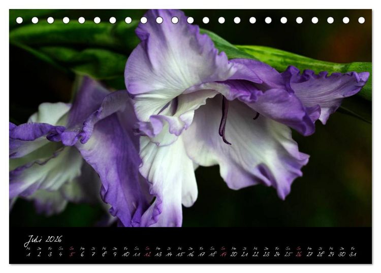 Produktbild: Soul-Jazz - Visuelle Musik der Blumen (Tischkalender 2026 DIN A5 quer), CALVENDO Monatskalender
