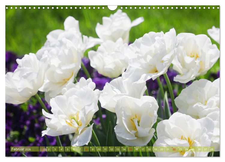 Produktbild: Wei&szlig;e Fr&uuml;hlingsbl&uuml;ten (Wandkalender 2026 DIN A3 quer), CALVENDO Monatskalender