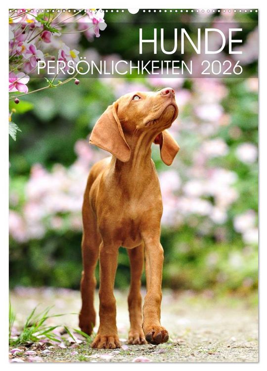 Produktbild: Hundepers&ouml;nlichkeiten (Wandkalender 2026 DIN A2 hoch), CALVENDO Monatskalender