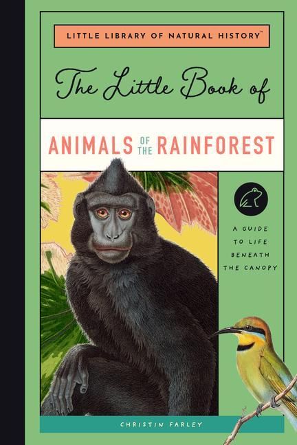 Produktbild: The Little Book of Animals of the Rainforest