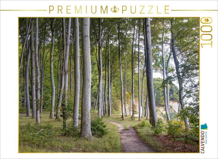 Produktbild: CALVENDO Puzzle Ein Motiv aus dem Kalender Der Hochuferweg im Jasmund Nationalpark | 1000 Teile Lege-Gr&ouml;&szlig;e 64x48cm Foto-Puzzle f&uuml;r gl&uuml;ckliche Stunden