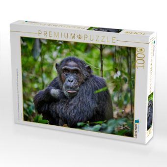 Produktbild: CALVENDO Puzzle Portr&auml;t eines wilden Schimpansen, Pan troglodytes, Kibale-Nationalpark, Fort Portal, Uganda, Afrika | 1000 Teile Lege-Gr&ouml;&szlig;e 64x48cm Foto-Puzzle f&uuml;r gl&uuml;ckliche Stunden