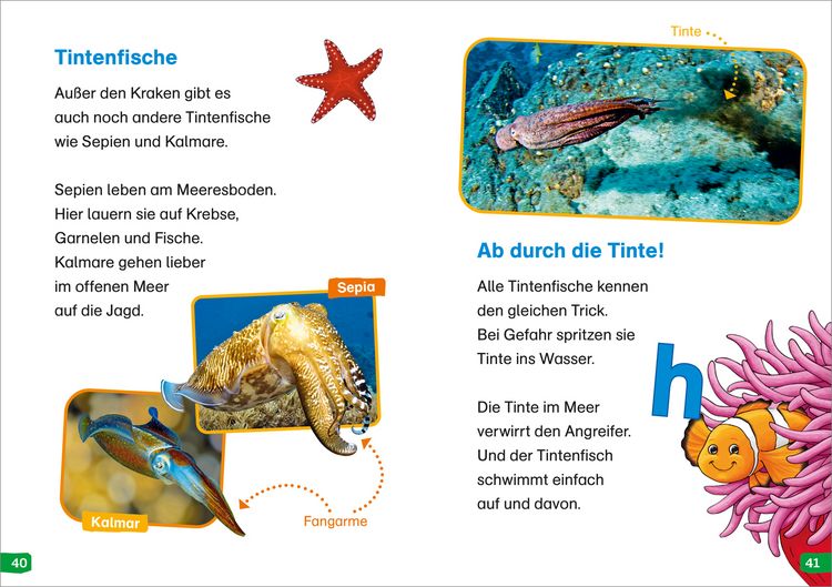 Produktbild: WAS IST WAS Erstes Lesen easy! Band 4. Entdecke den Weltraum