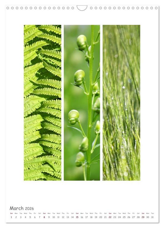 Produktbild: Colours of Nature - Triptycha (Wall Calendar 2026 DIN A3 portrait), CALVENDO 12 Month Wall Calendar