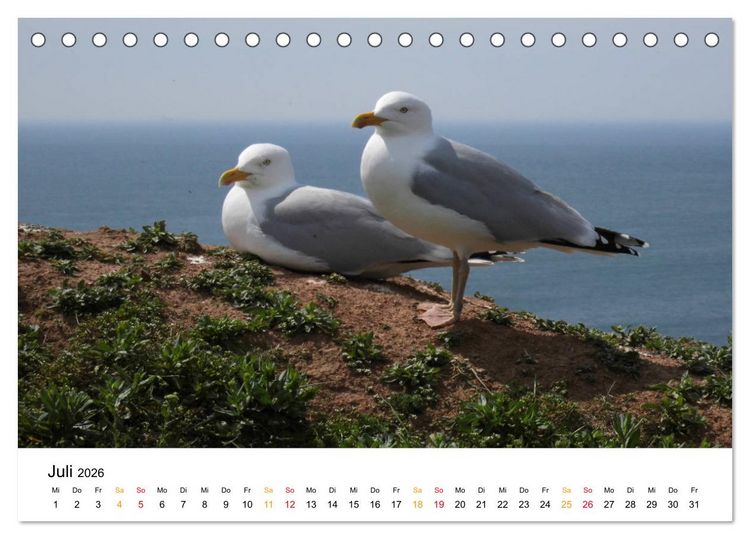 Produktbild: Helgoland Kalender (Tischkalender 2026 DIN A5 quer), CALVENDO Monatskalender