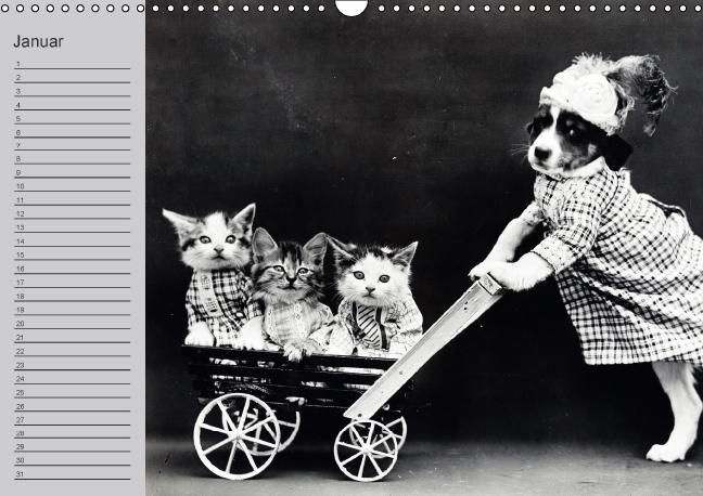 Produktbild: Katzen und Hunde - Nostalgie auf Pfoten (Wandkalender immerw&auml;hrend DIN A3 quer)