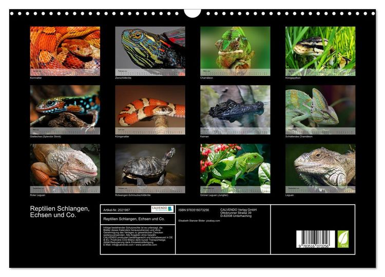 Produktbild: Reptilien Schlangen, Echsen und Co. (Wandkalender 2026 DIN A3 quer), CALVENDO Monatskalender