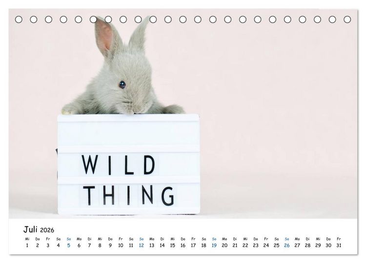 Produktbild: Tierkinder ganz frech (Tischkalender 2026 DIN A5 quer), CALVENDO Monatskalender