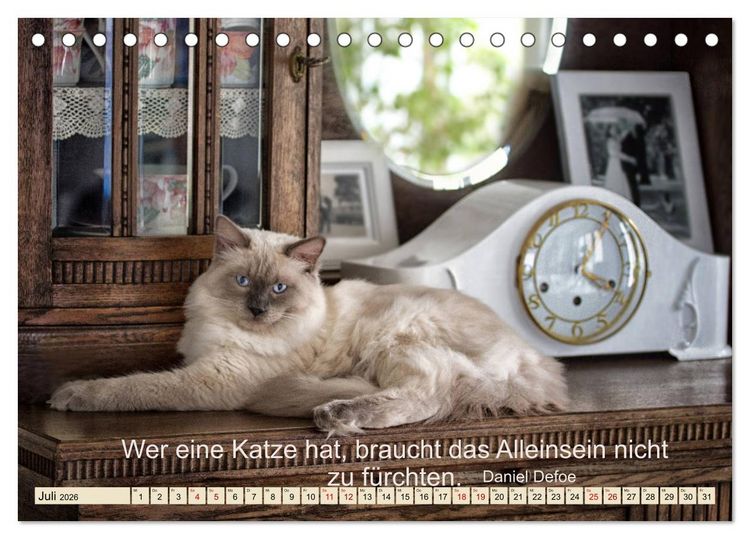 Produktbild: Samtpfoten Lebendige Poesie (Tischkalender 2026 DIN A5 quer), CALVENDO Monatskalender