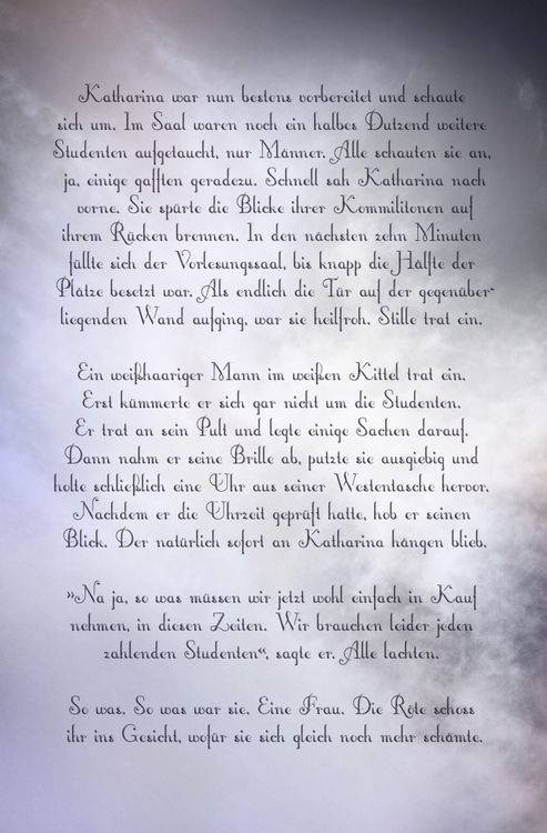 Produktbild: Gut Greifenau - Silberstreif