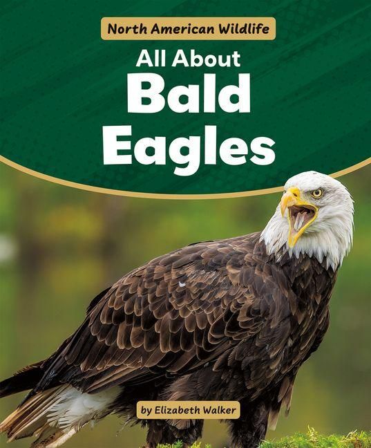 Produktbild: All about Bald Eagles