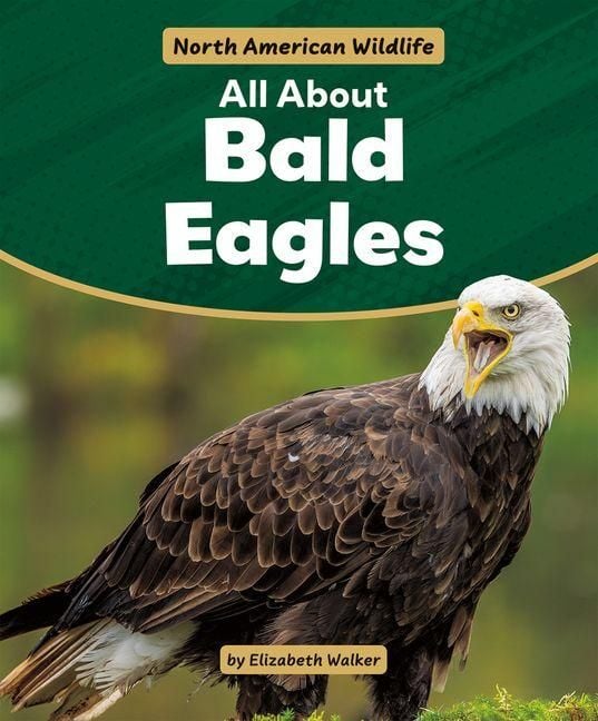 Produktbild: All about Bald Eagles