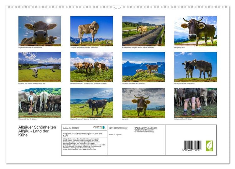 Produktbild: Allg&auml;uer Sch&ouml;nheiten Allg&auml;u - Land der K&uuml;he (hochwertiger Premium Wandkalender 2026 DIN A2 quer), Kunstdruck in Hochglanz