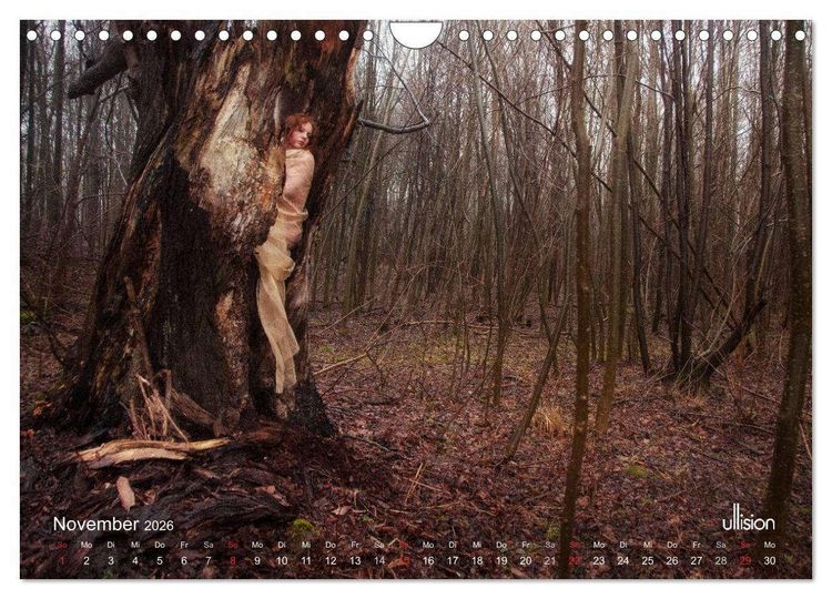 Produktbild: ZAUBERWALD Mystik der Natur (Wandkalender 2026 DIN A4 quer), CALVENDO Monatskalender