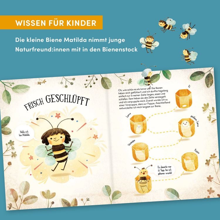 Produktbild: Wie Bienen leben. Matilda erz&auml;hlt.