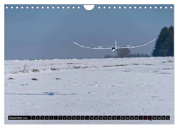 Produktbild: Modellflugkalender 2026 (Wandkalender 2026 DIN A4 quer), CALVENDO Monatskalender