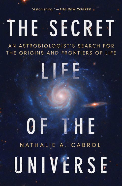 Produktbild: The Secret Life of the Universe