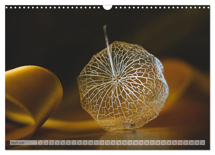 Produktbild: Kunstvolle Physalis-Kleine Frucht von gro&szlig;er Faszination (Wandkalender 2026 DIN A3 quer), CALVENDO Monatskalender