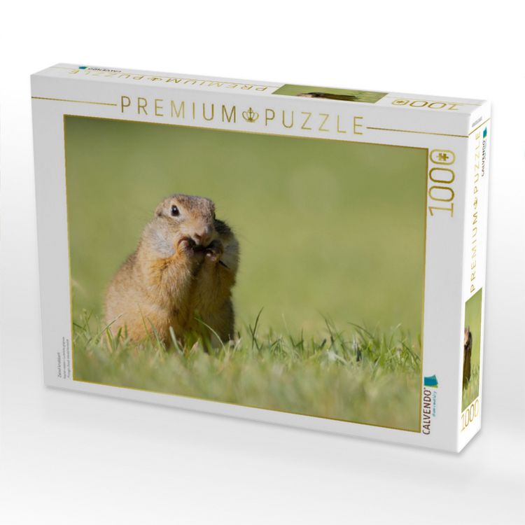 Produktbild: CALVENDO Puzzle Ziesel knabbert | 1000 Teile Lege-Gr&ouml;&szlig;e 64x48cm Foto-Puzzle f&uuml;r gl&uuml;ckliche Stunden