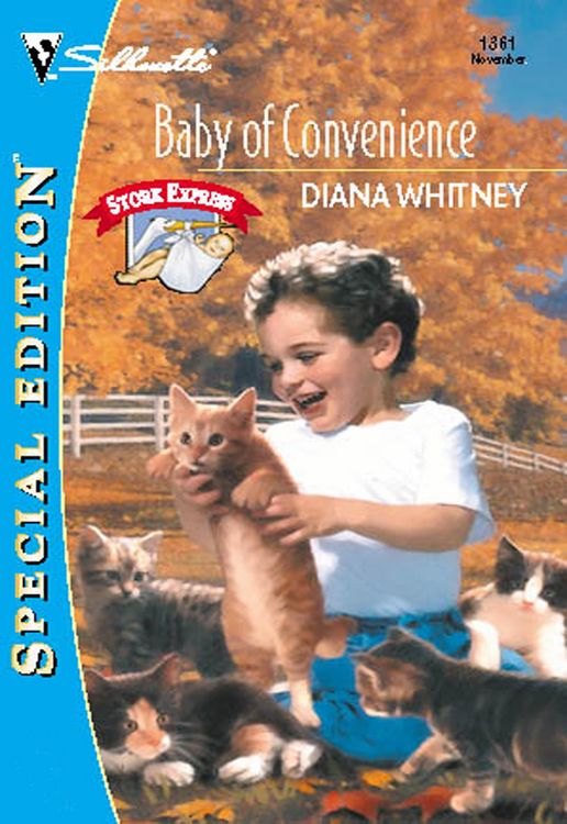 Produktbild: Baby Of Convenience
