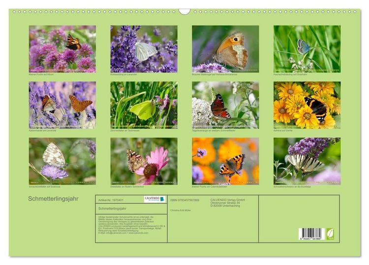 Produktbild: Schmetterlingsjahr (Wandkalender 2026 DIN A2 quer), CALVENDO Monatskalender