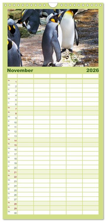 Produktbild: Familienplaner 2026 - Pinguine - Watscheln im festlichen Kleid mit 5 Spalten (Wandkalender, 21 x 45 cm) CALVENDO