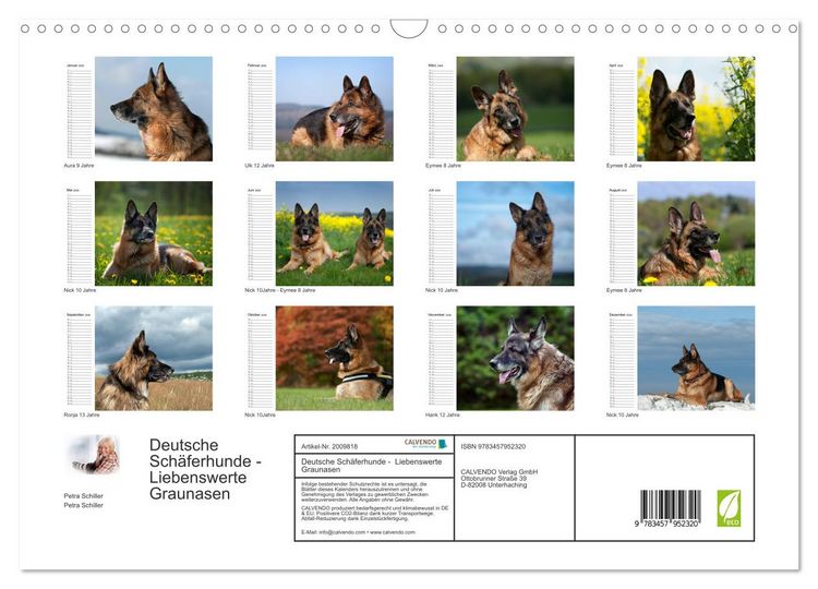Produktbild: Deutsche Sch&auml;ferhunde - Liebenswerte Graunasen (Wandkalender 2026 DIN A3 quer), CALVENDO Monatskalender