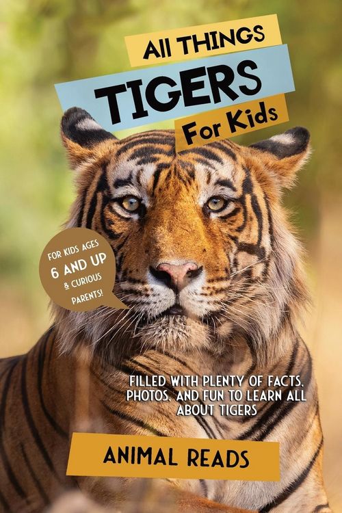 Produktbild: All Things Tigers For Kids