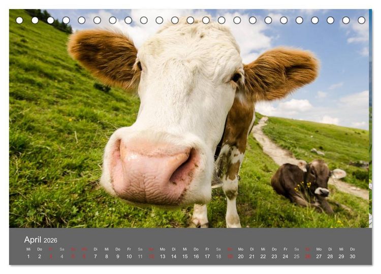 Produktbild: Tannheimer Tal (Tischkalender 2026 DIN A5 quer), CALVENDO Monatskalender