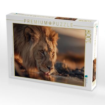 Produktbild: CALVENDO Puzzle Der L&ouml;we senkt den Kopf, um frisches Wasser zu trinken | 1000 Teile Lege-Gr&ouml;&szlig;e 64x48cm Foto-Puzzle f&uuml;r gl&uuml;ckliche Stunden
