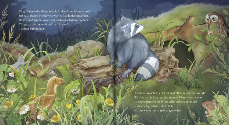 Produktbild: Schlaf gut, kleiner Waschb&auml;r &ndash; ein Bilderbuch f&uuml;r Kinder ab 2 Jahren