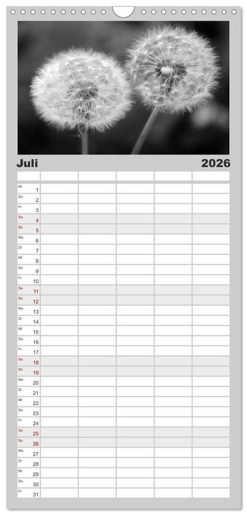 Produktbild: Familienplaner 2026 - Pusteblume - Impressionen in schwarzwei&szlig; mit 5 Spalten (Wandkalender, 21 x 45 cm) CALVENDO