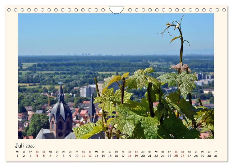 Produktbild: Weinlandschaft - Heppenheim an der Bergstra&szlig;e (Wandkalender 2026 DIN A4 quer), CALVENDO Monatskalender